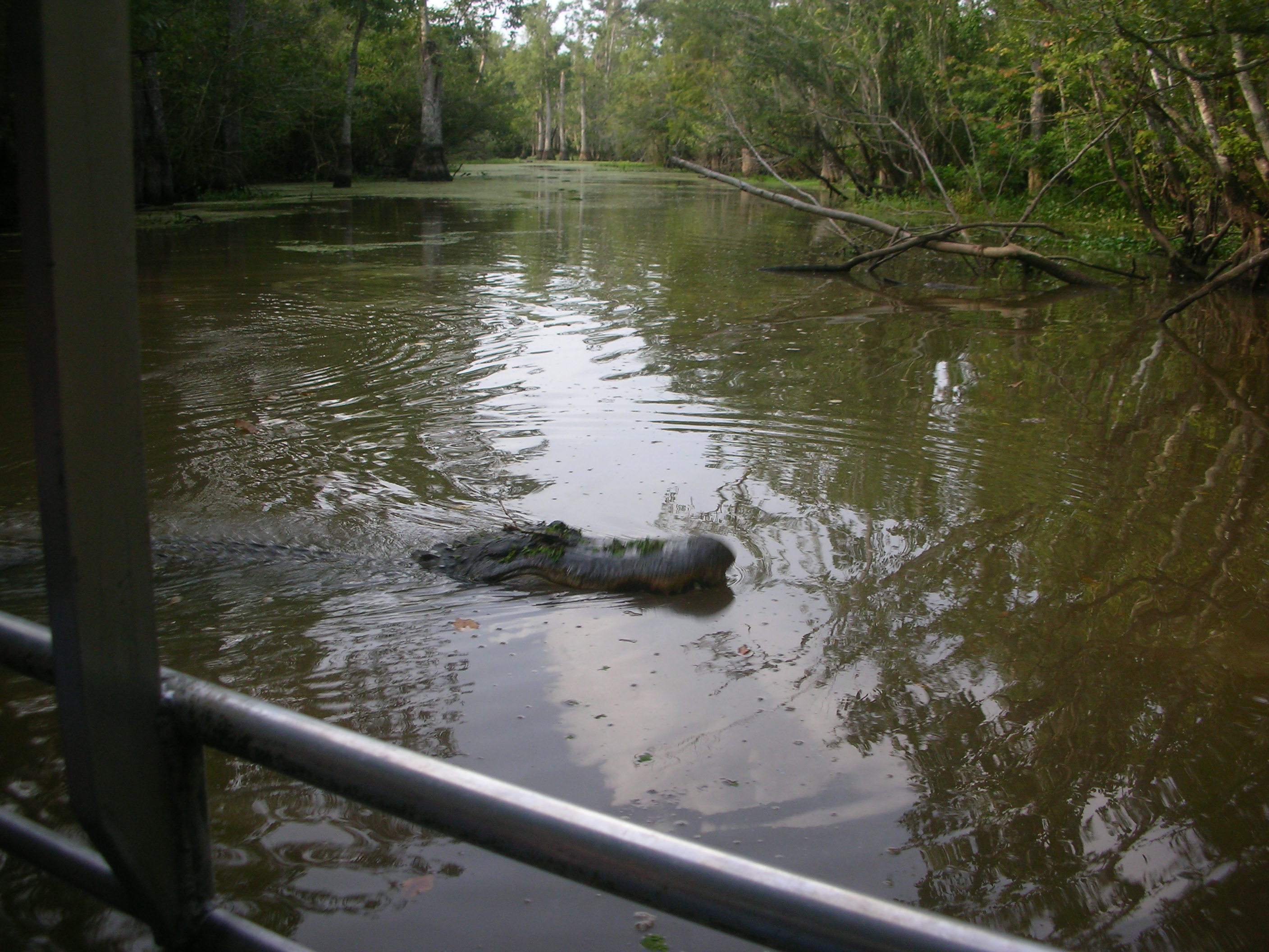 DSCN6322.JPG