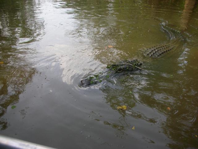 DSCN6324.JPG