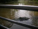 DSCN6325.JPG