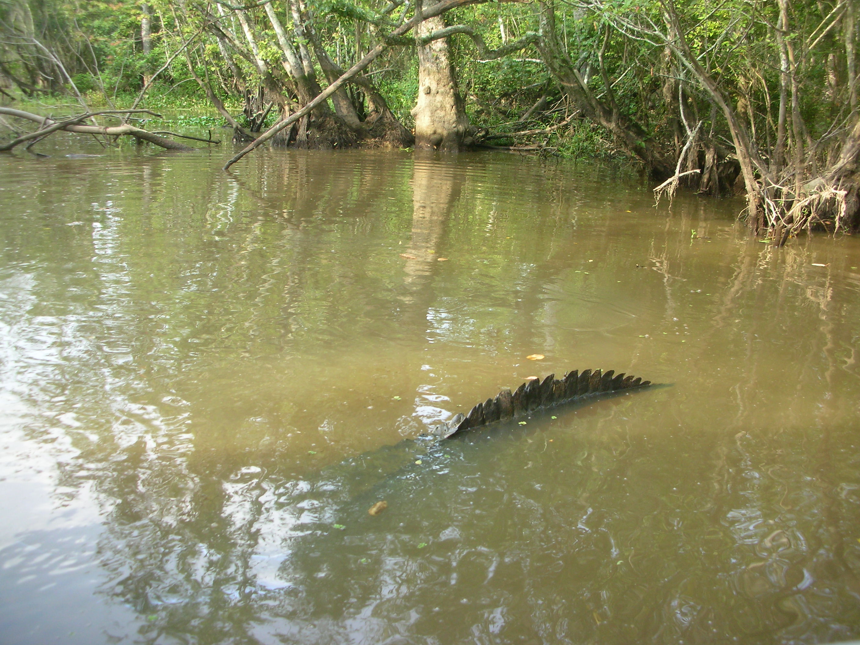 DSCN6326.JPG