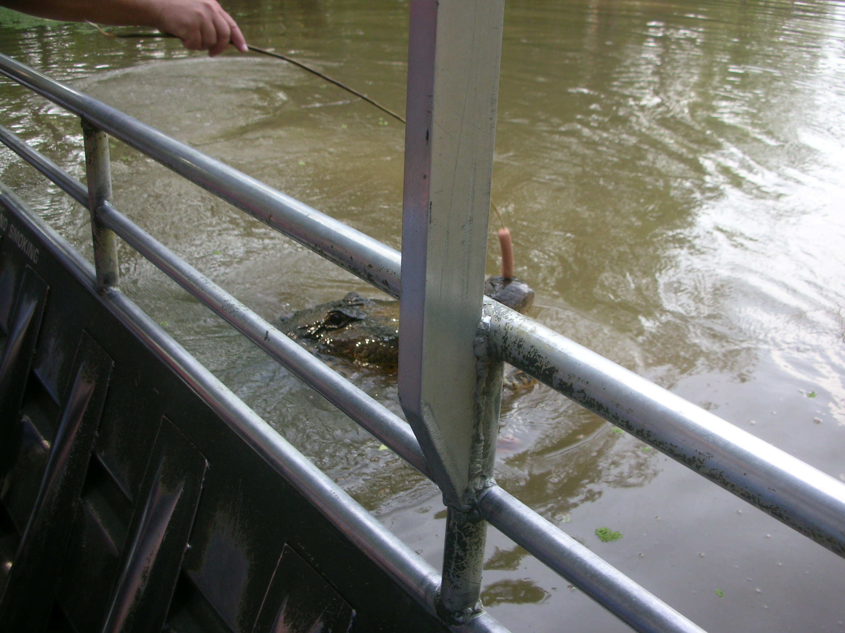 DSCN6327.JPG