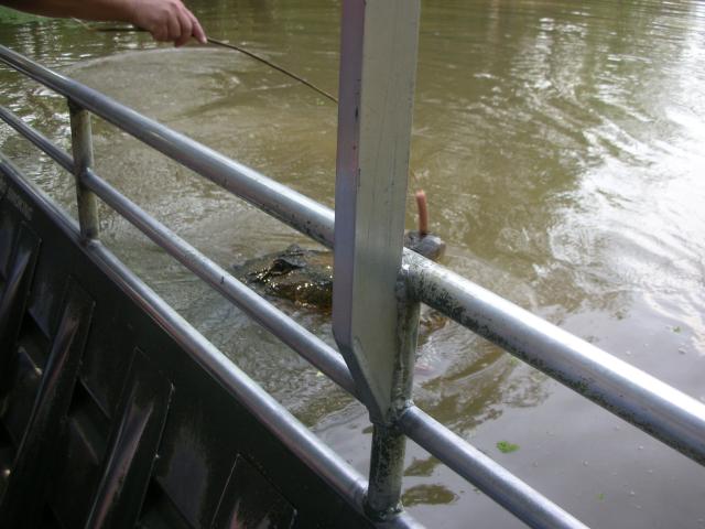 DSCN6327.JPG