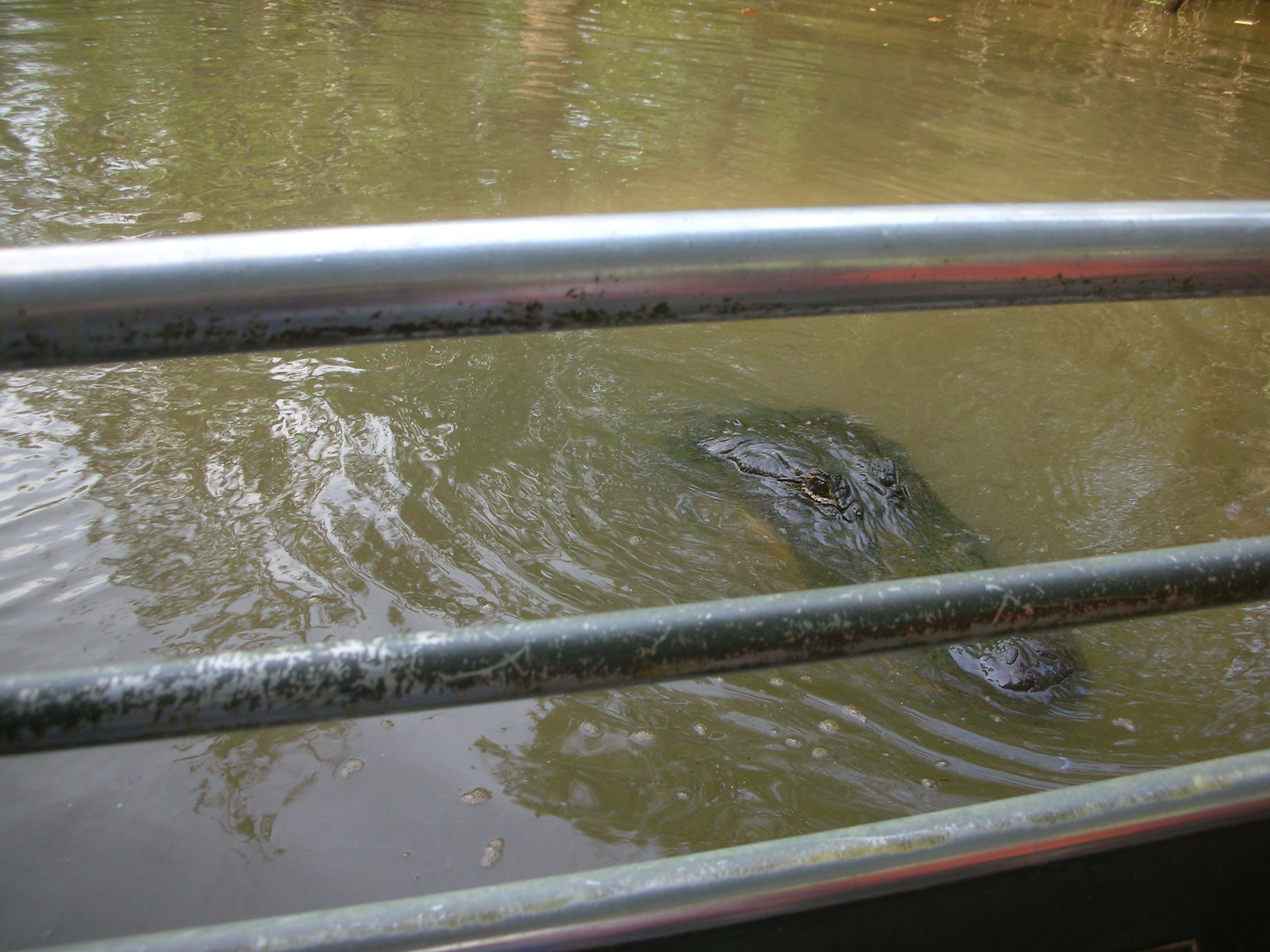 DSCN6328.JPG