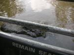 DSCN6329.JPG