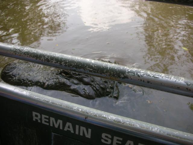DSCN6329.JPG