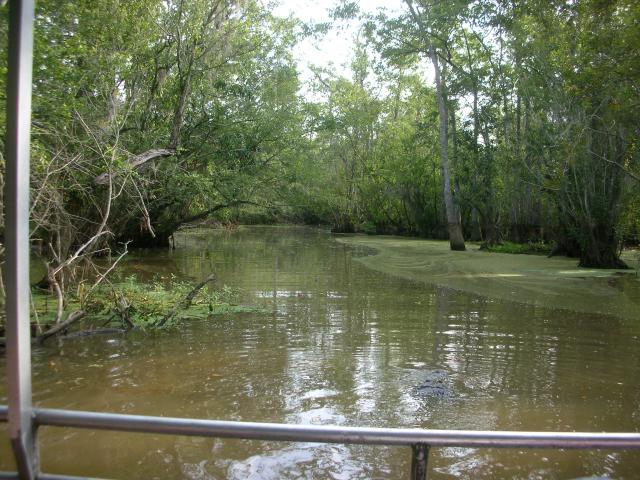 DSCN6330.JPG