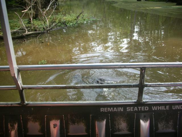 DSCN6331.JPG
