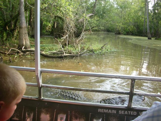 DSCN6333.JPG