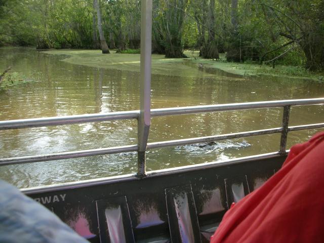 DSCN6334.JPG