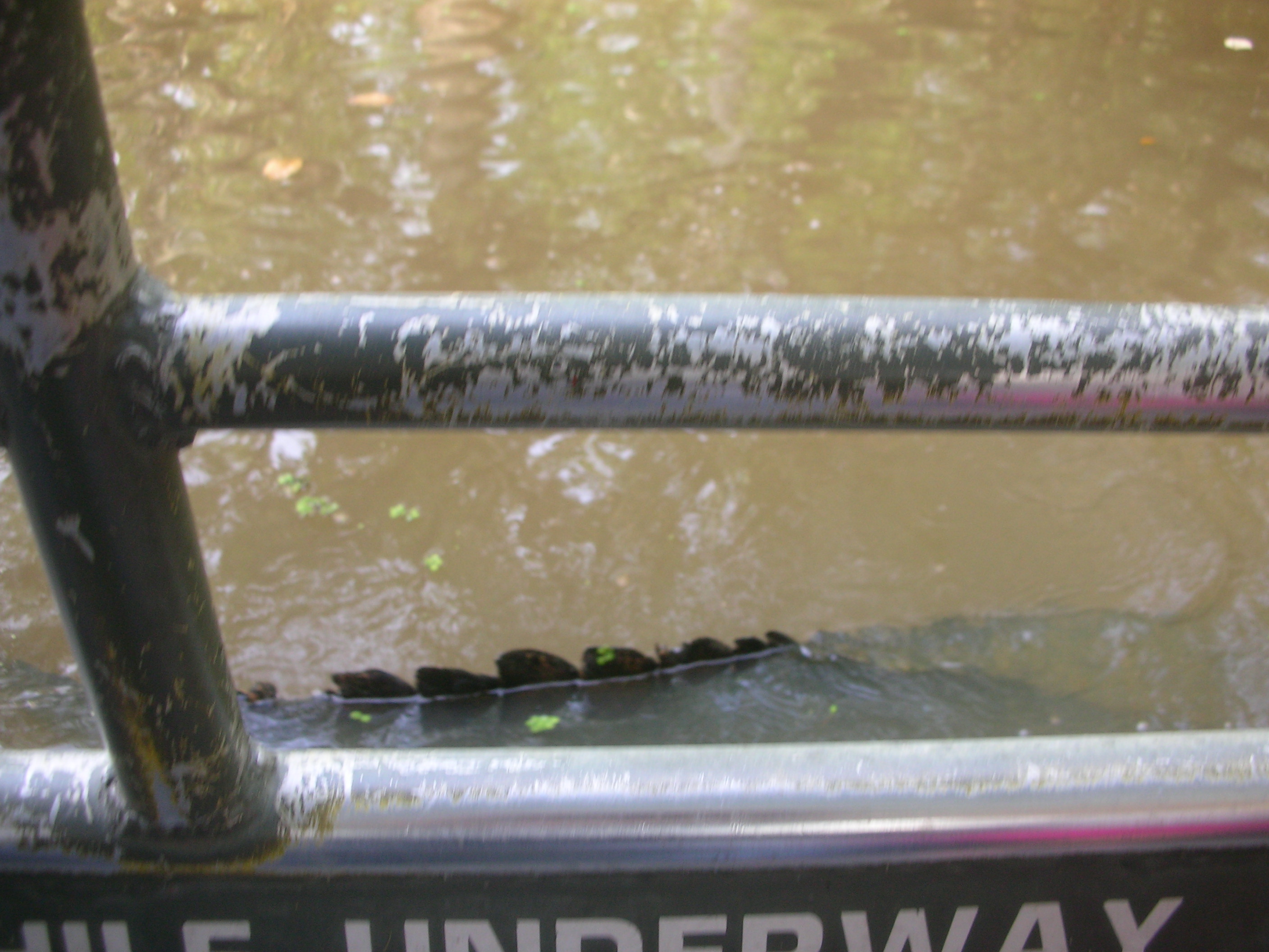 DSCN6337.JPG