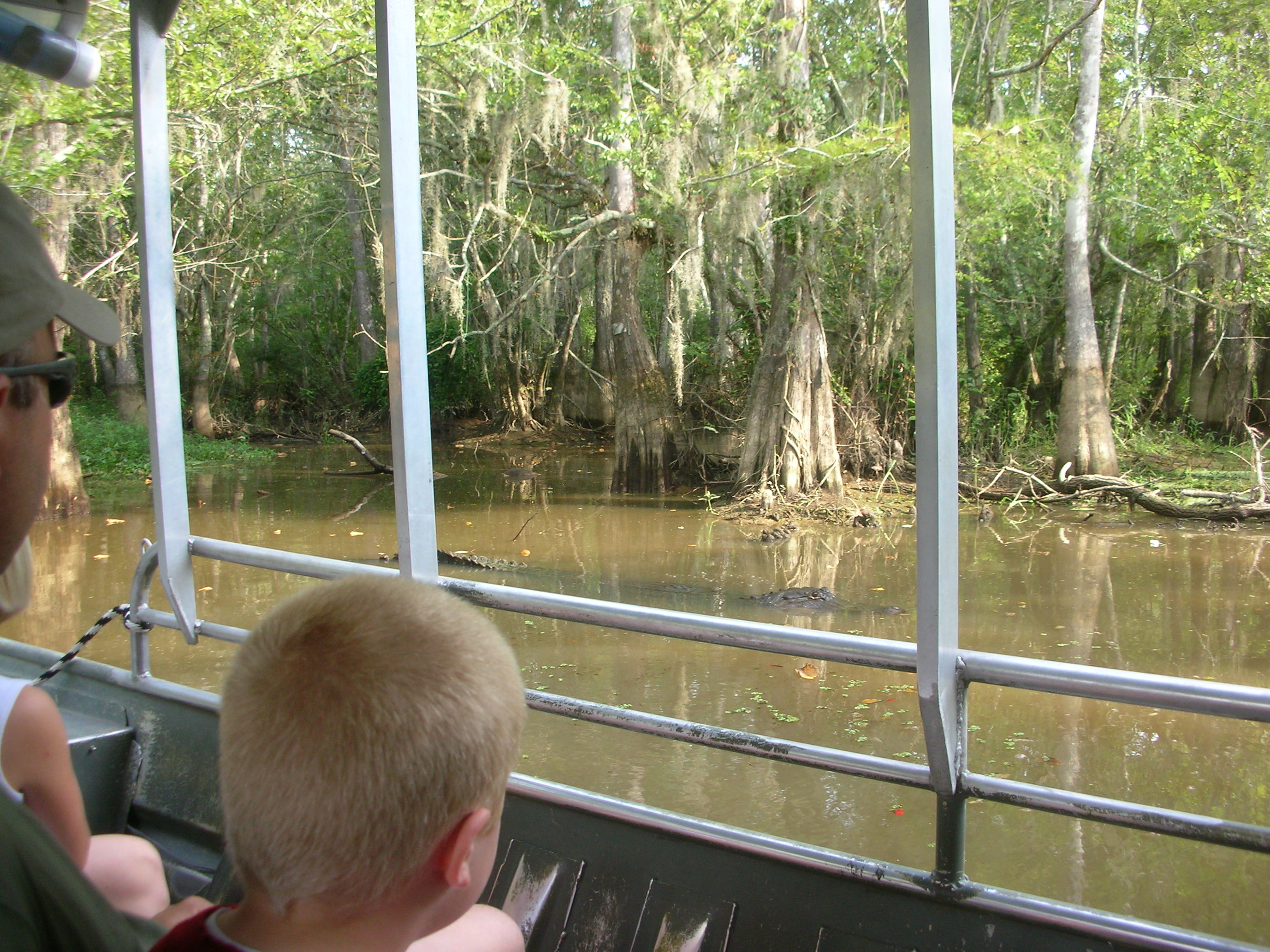 DSCN6338.JPG