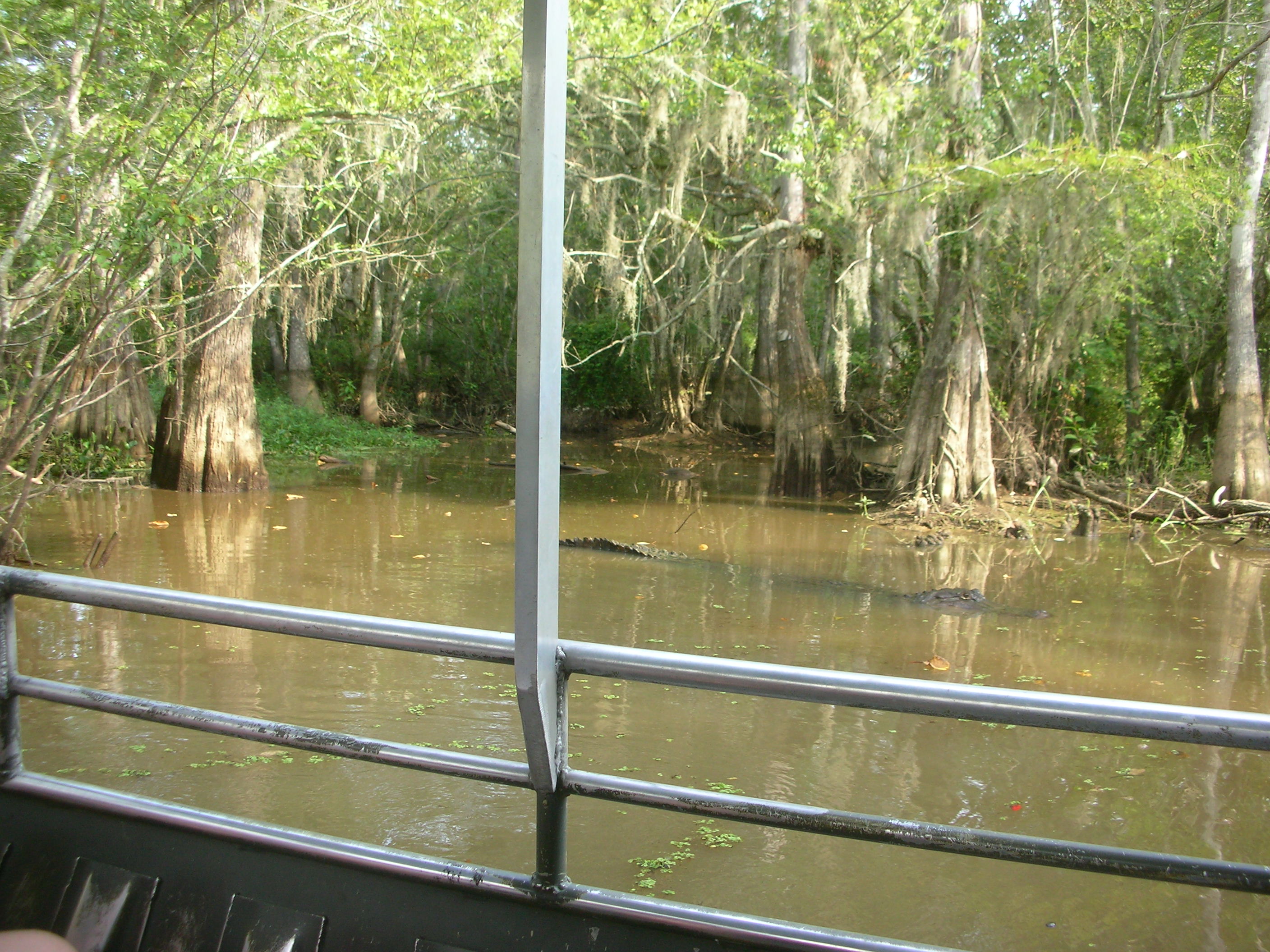 DSCN6339.JPG