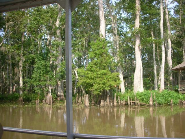 DSCN6341.JPG