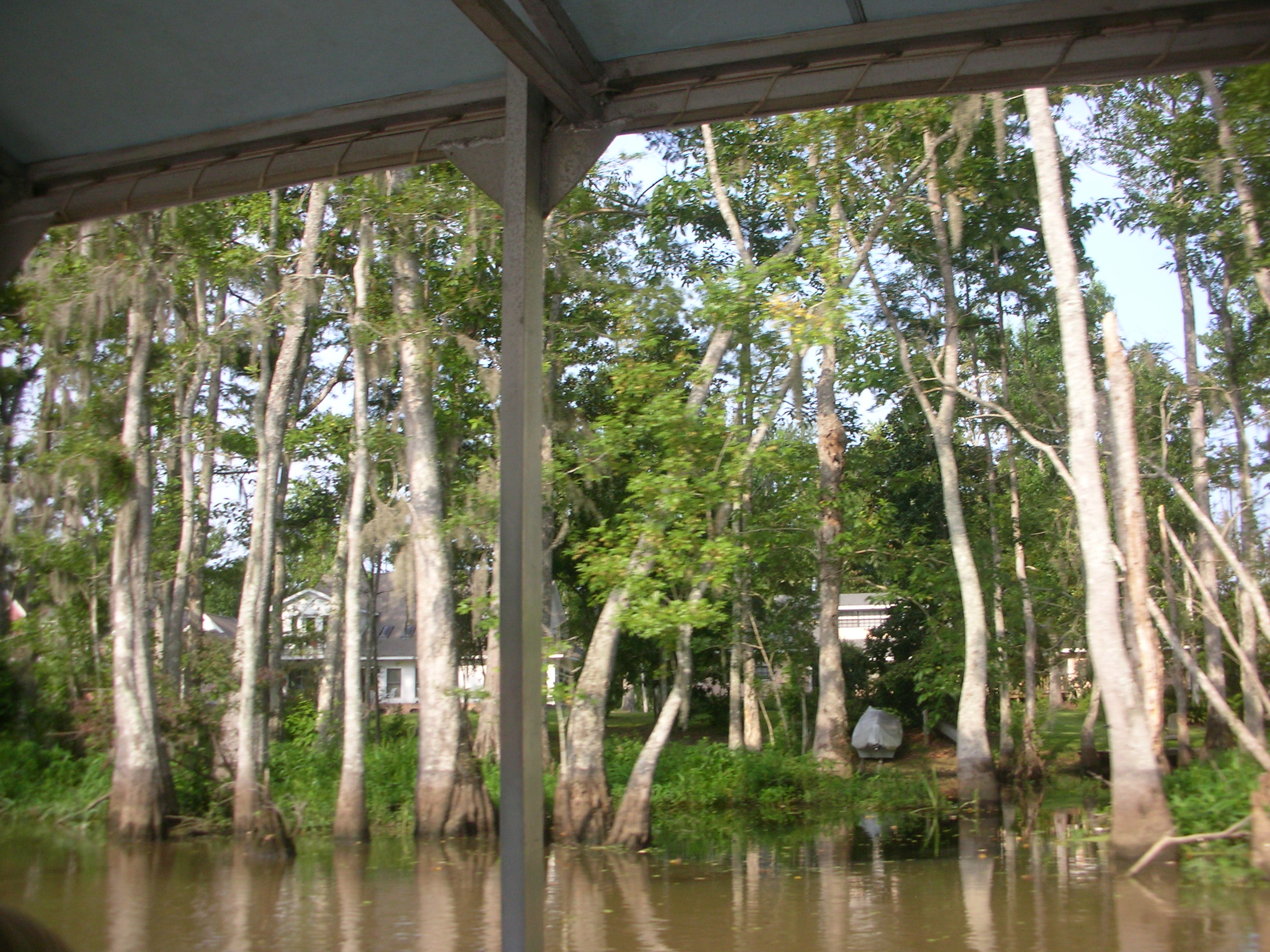 DSCN6342.JPG