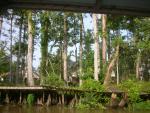 DSCN6344.JPG