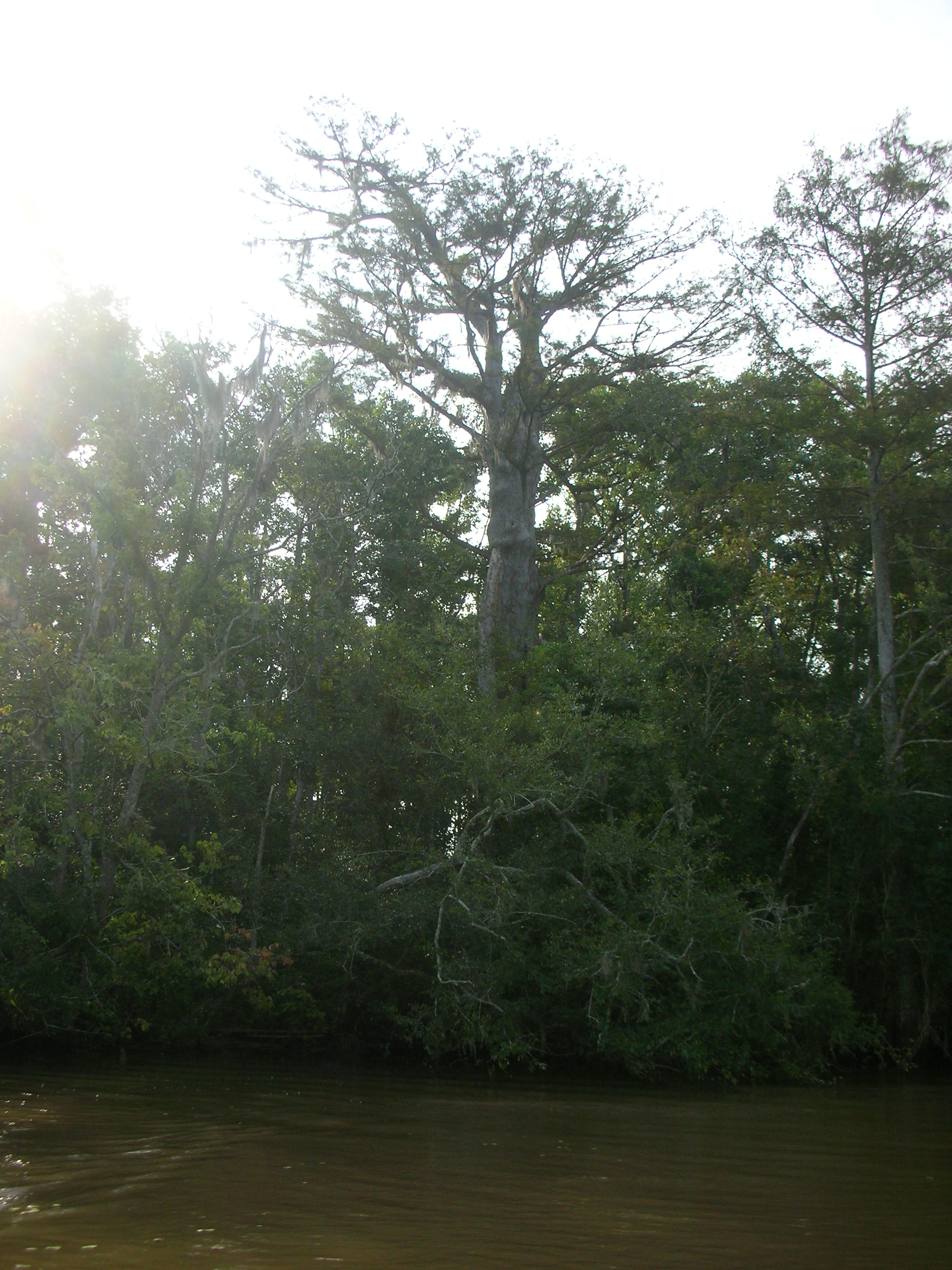 DSCN6345.JPG
