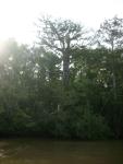 DSCN6345.JPG
