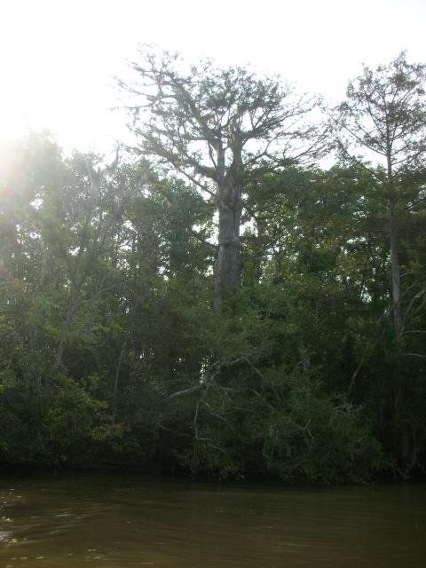 DSCN6345.JPG