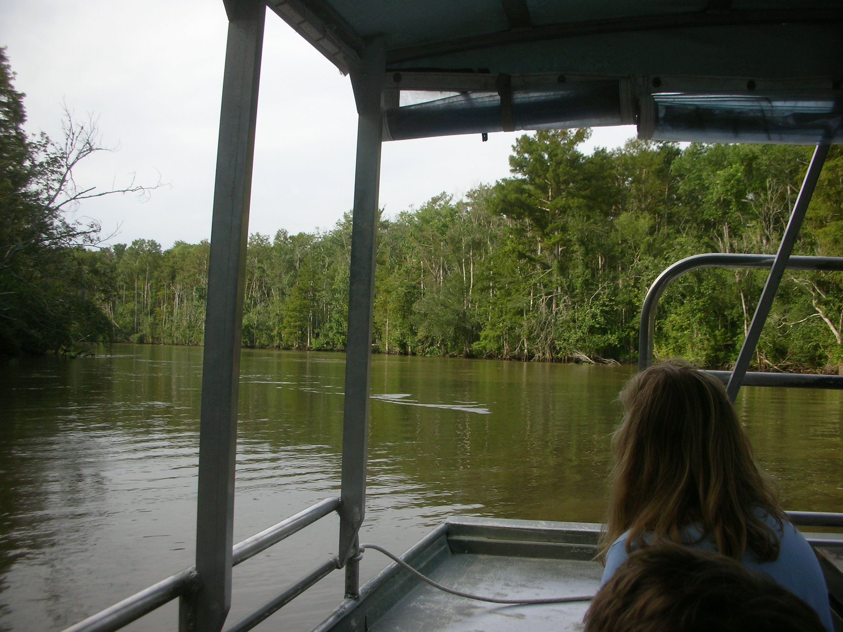 DSCN6347.JPG