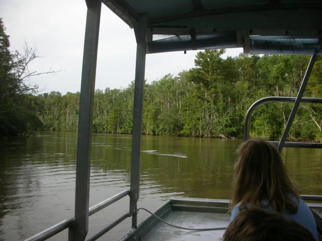 DSCN6347.JPG