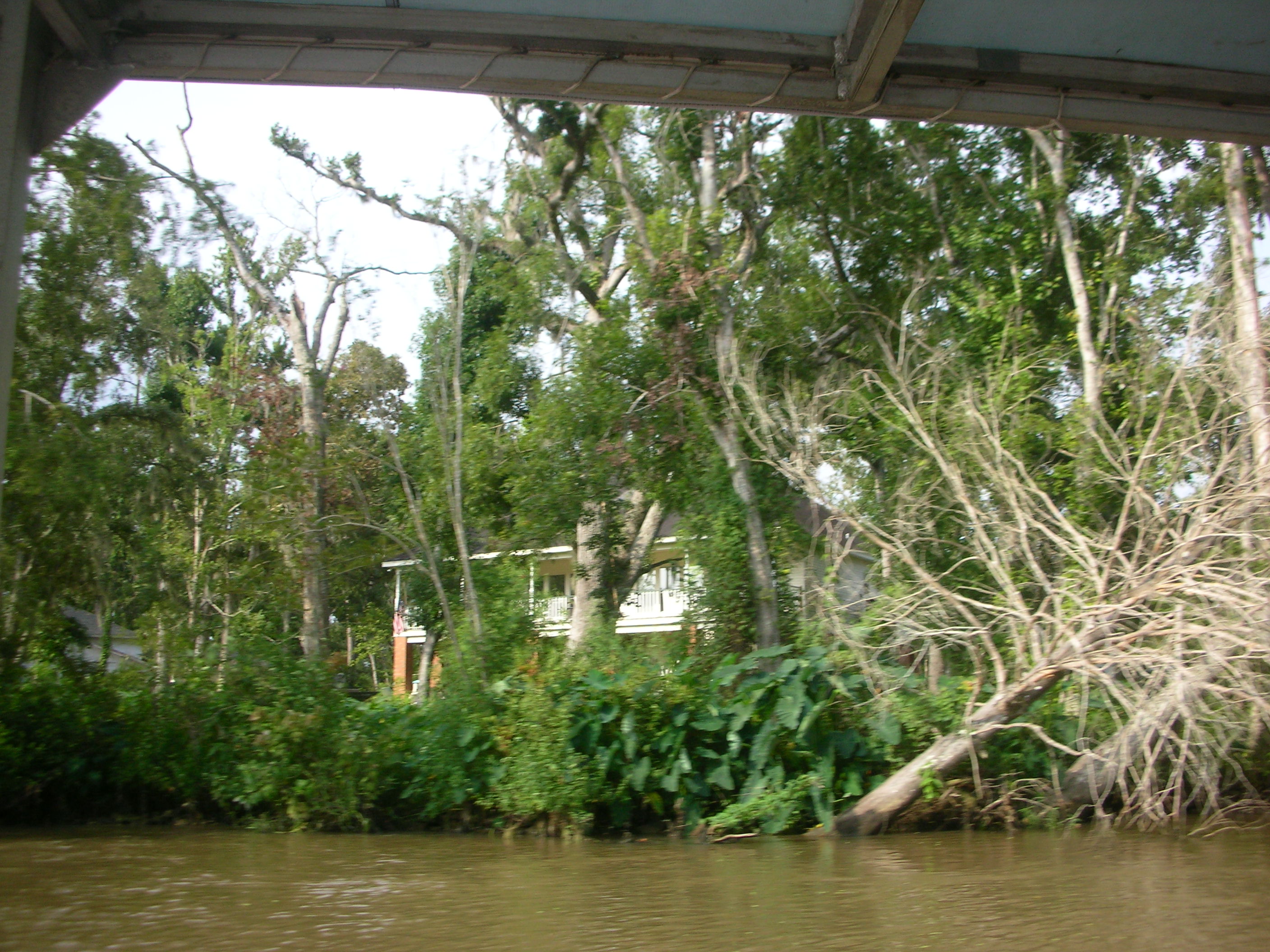 DSCN6349.JPG