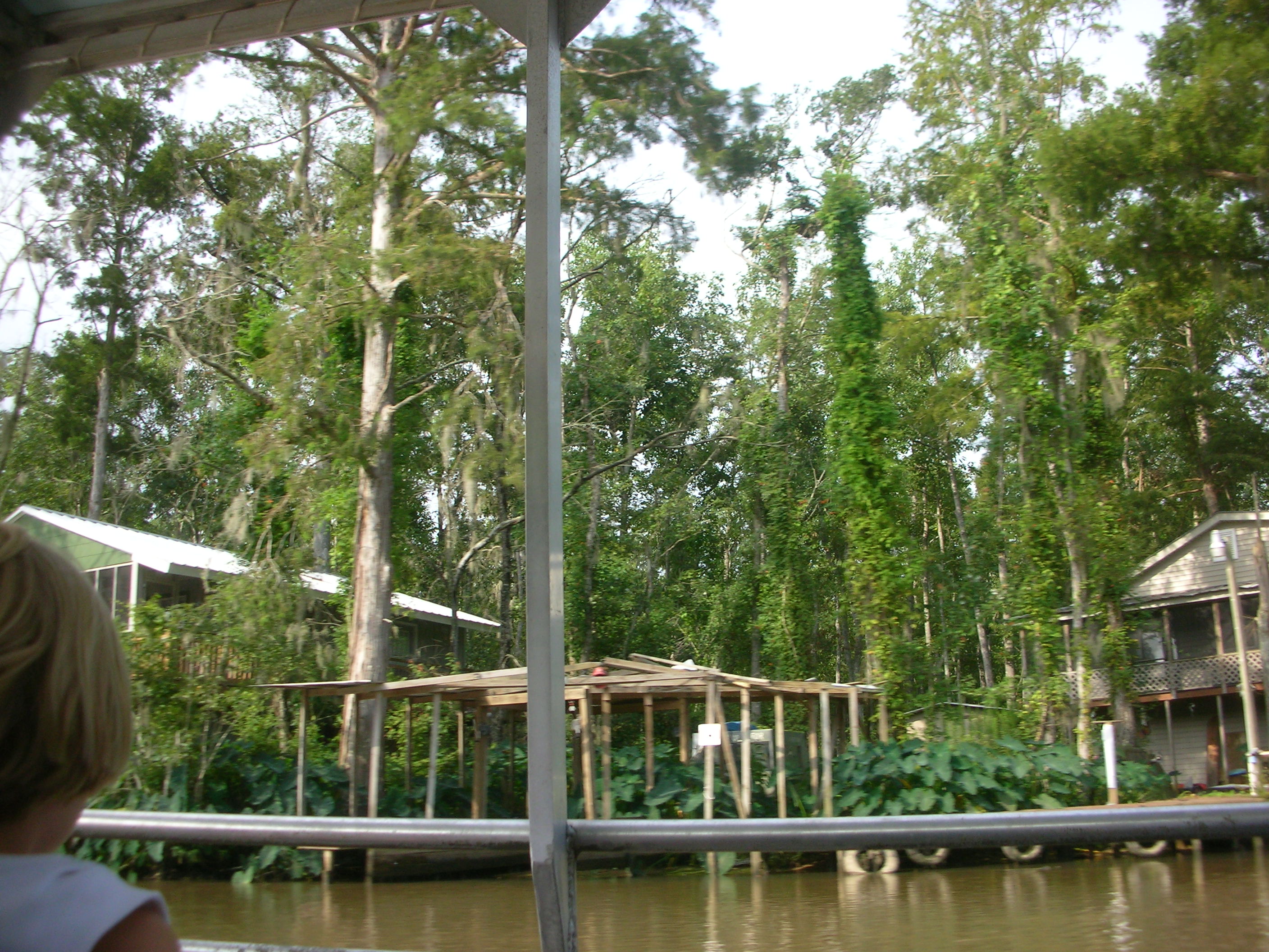 DSCN6350.JPG