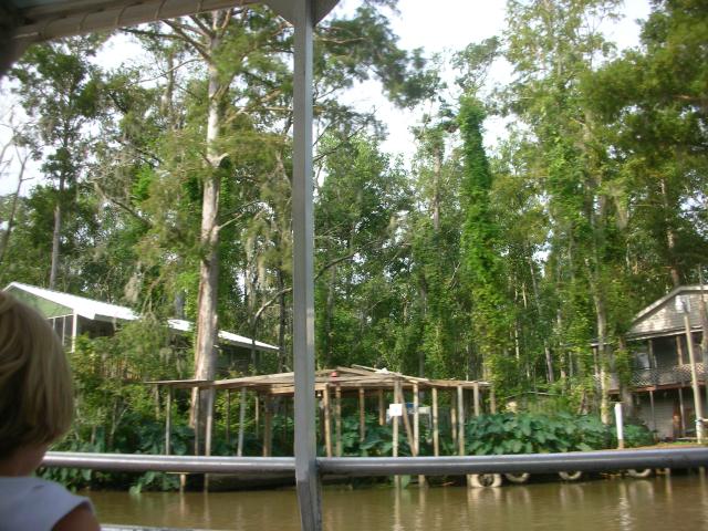 DSCN6350.JPG