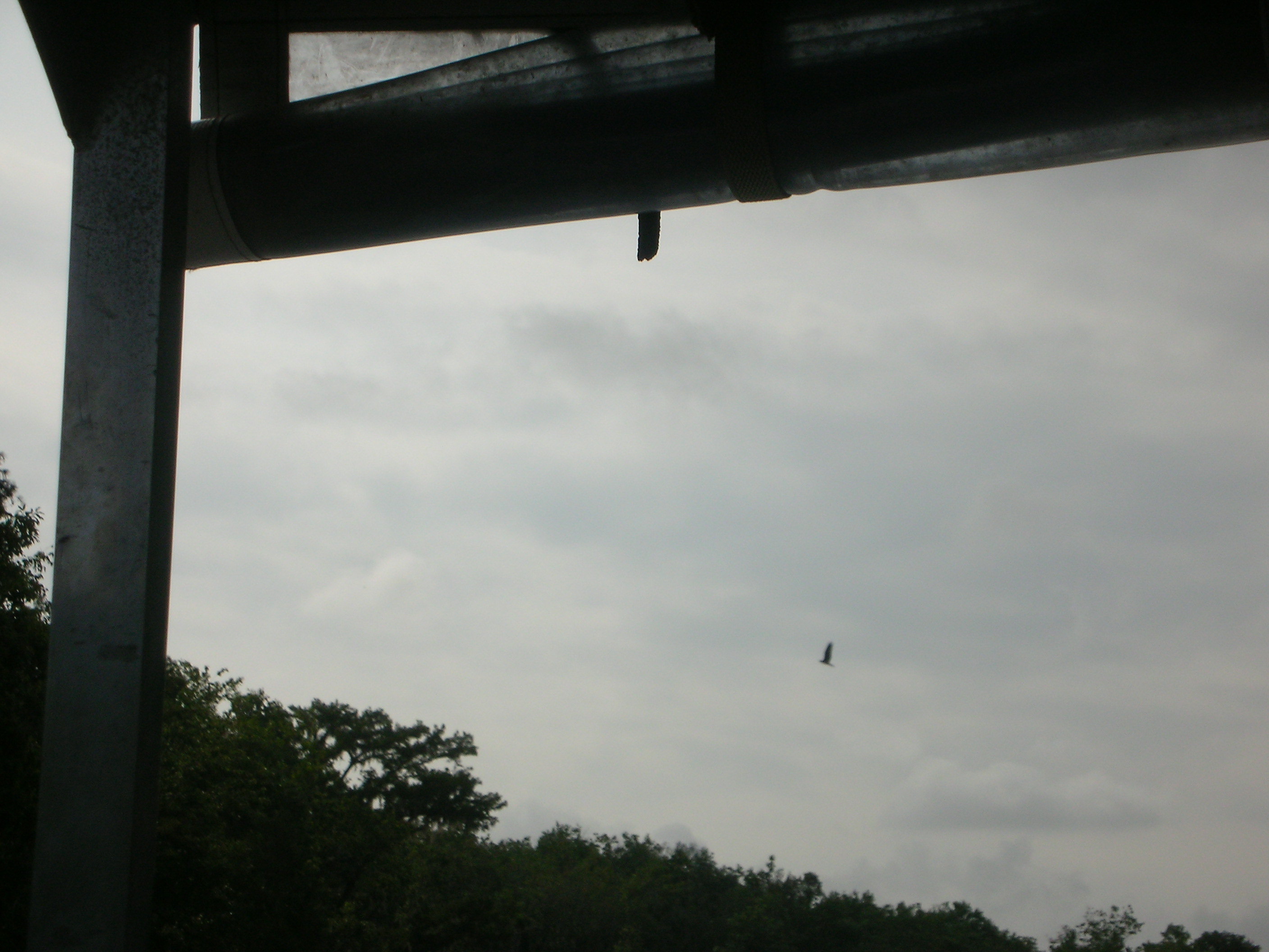 DSCN6355.JPG