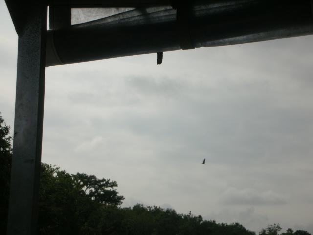 DSCN6355.JPG