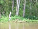 DSCN6356.JPG