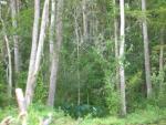 DSCN6357.JPG