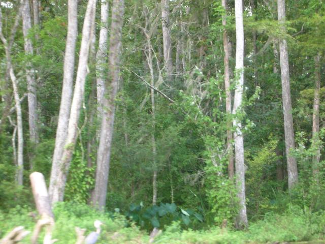 DSCN6357.JPG