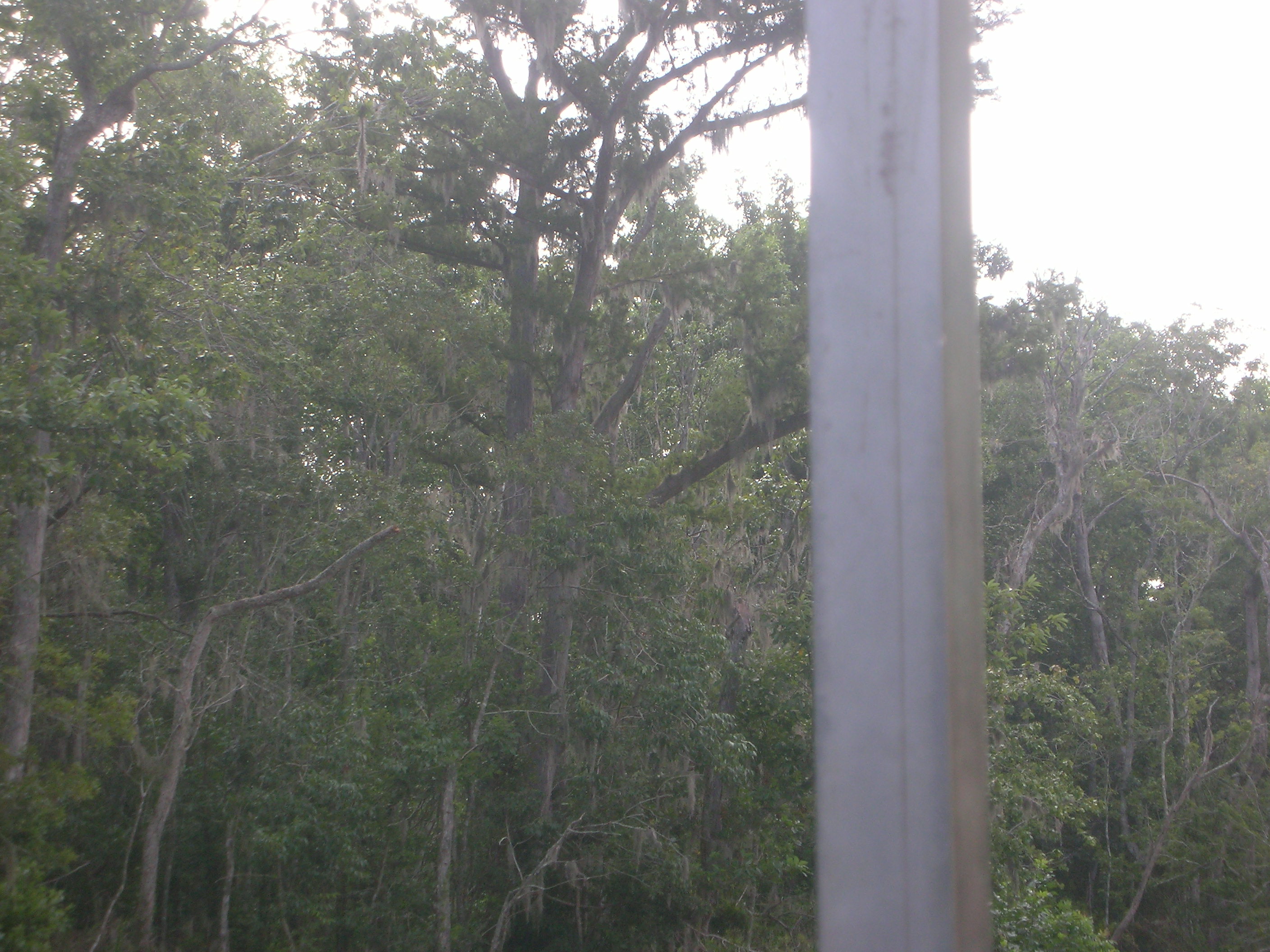 DSCN6358.JPG