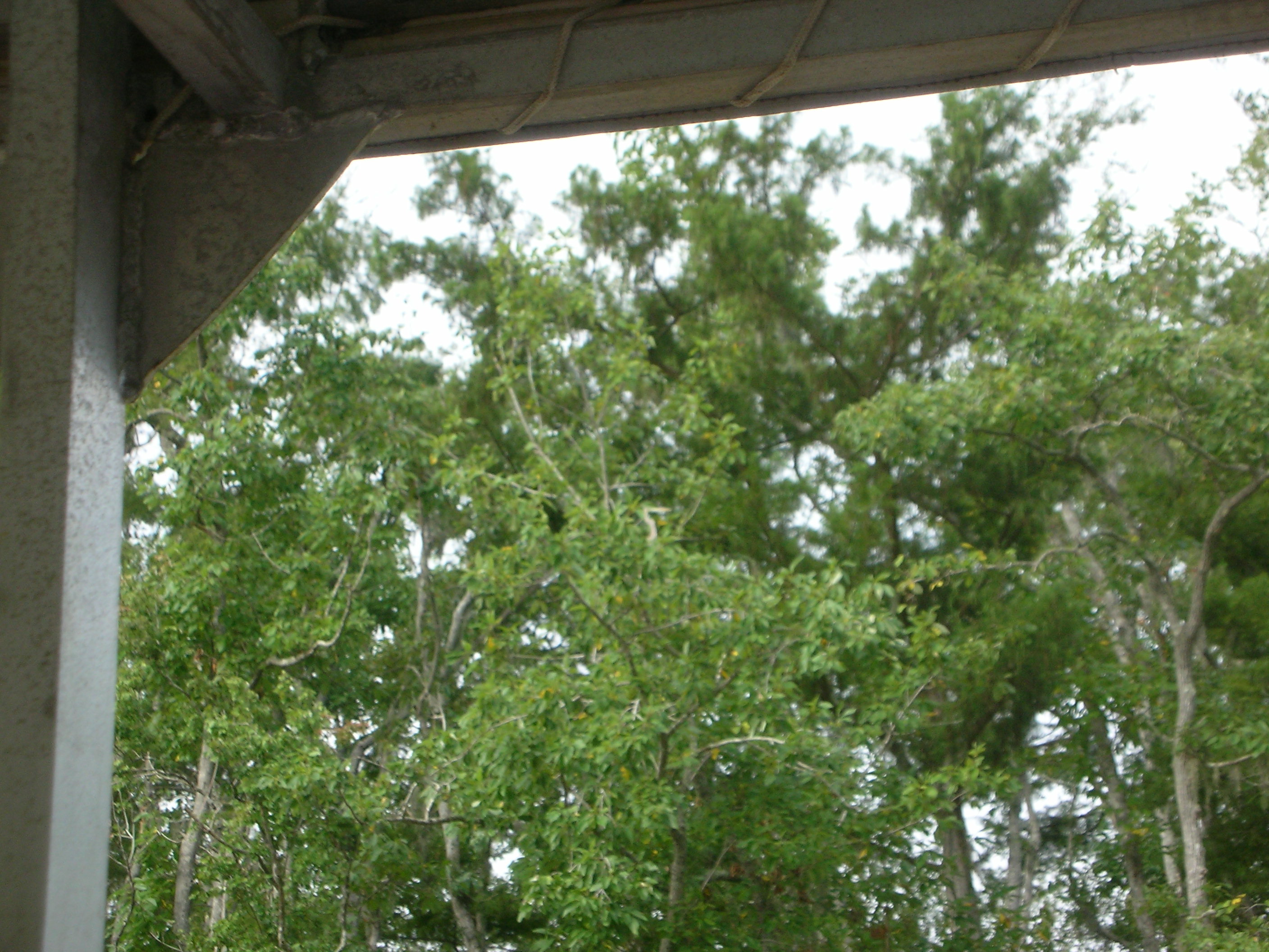 DSCN6360.JPG