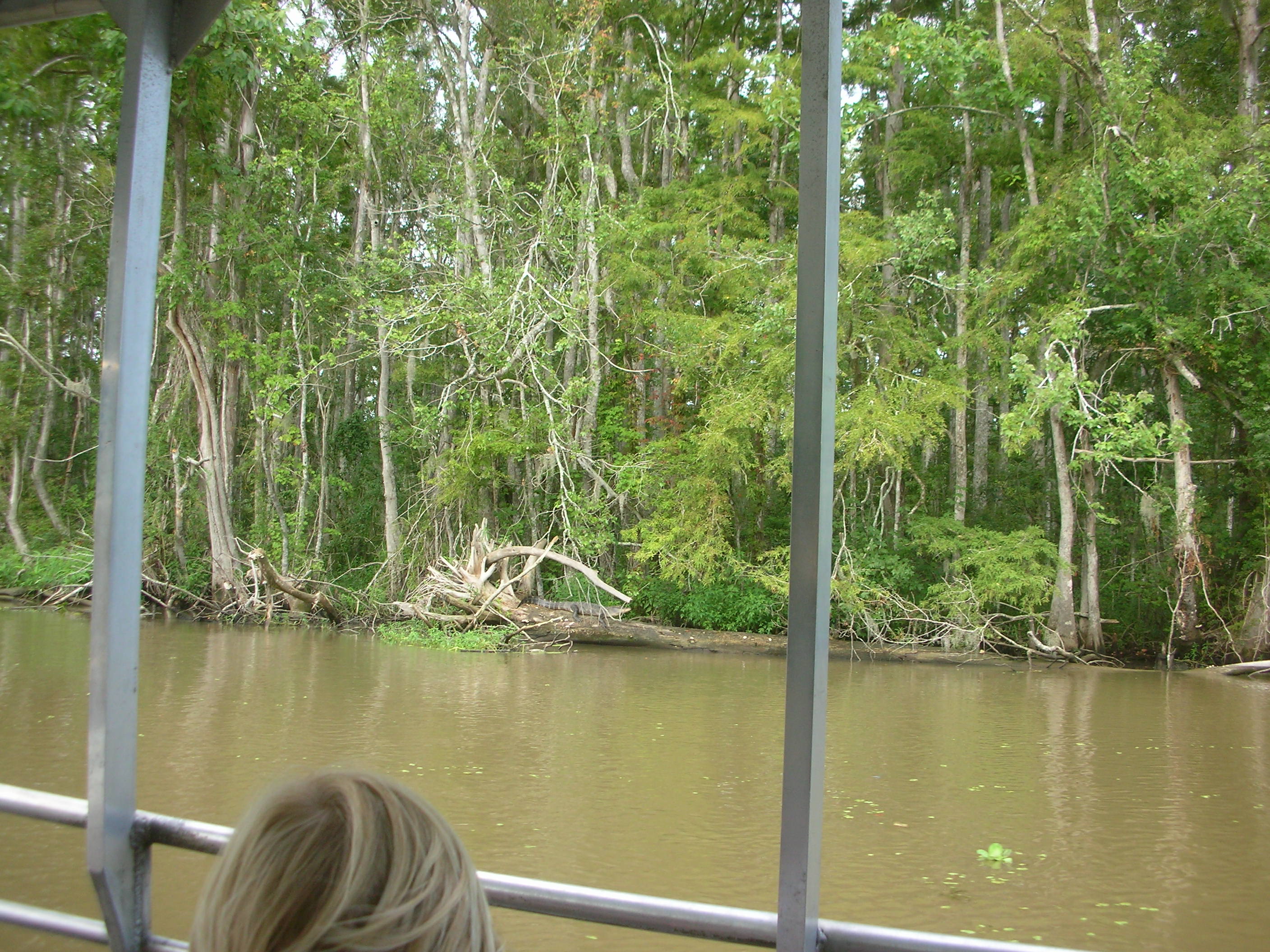 DSCN6361.JPG