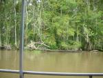 DSCN6362.JPG