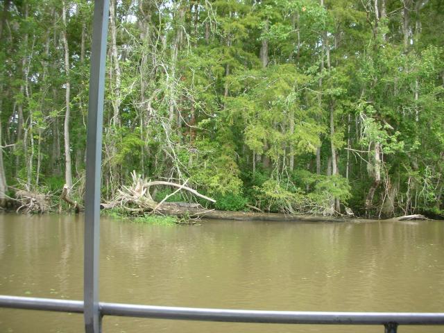 DSCN6362.JPG