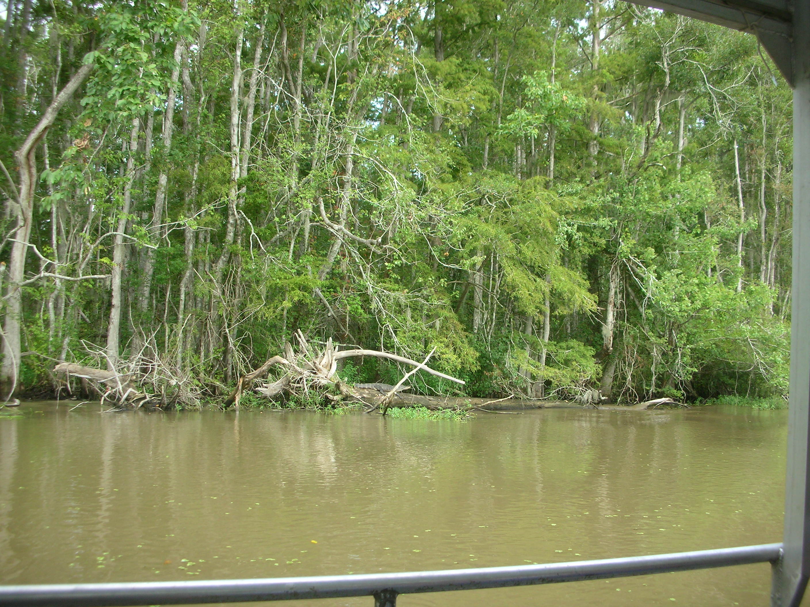 DSCN6363.JPG