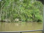 DSCN6363.JPG