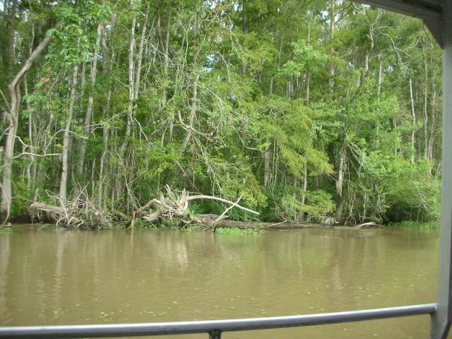 DSCN6363.JPG