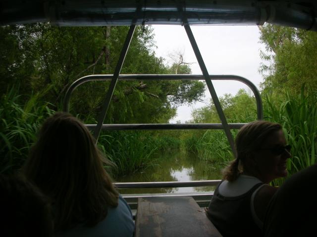 DSCN6365.JPG