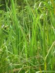 DSCN6367.JPG