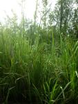 DSCN6368.JPG