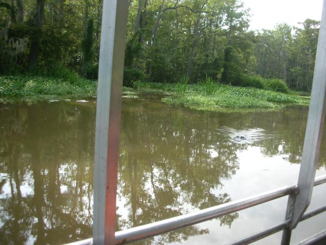DSCN6369.JPG