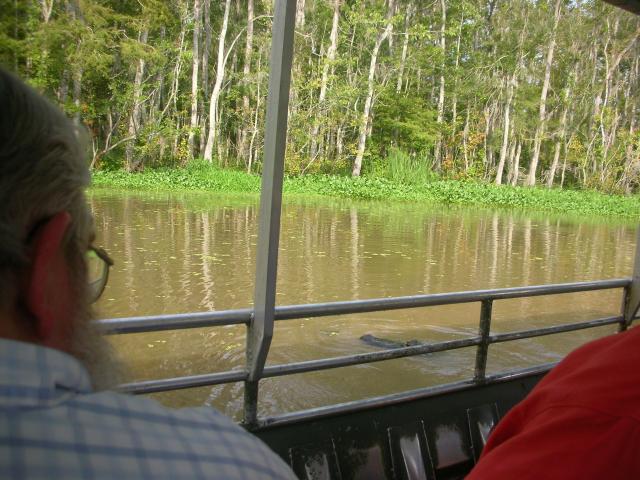DSCN6370.JPG