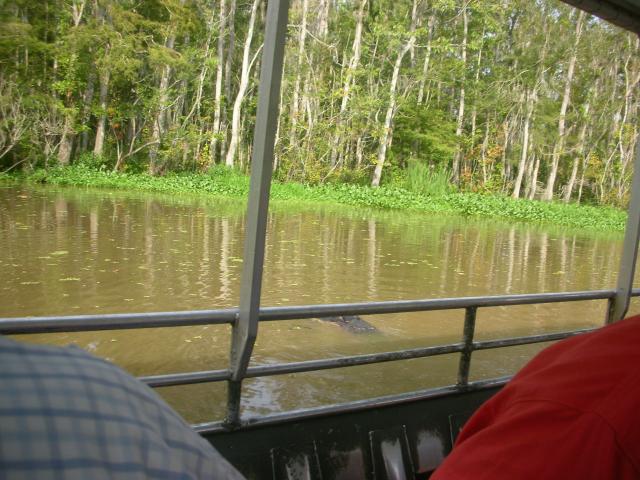 DSCN6371.JPG