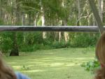 DSCN6374.JPG