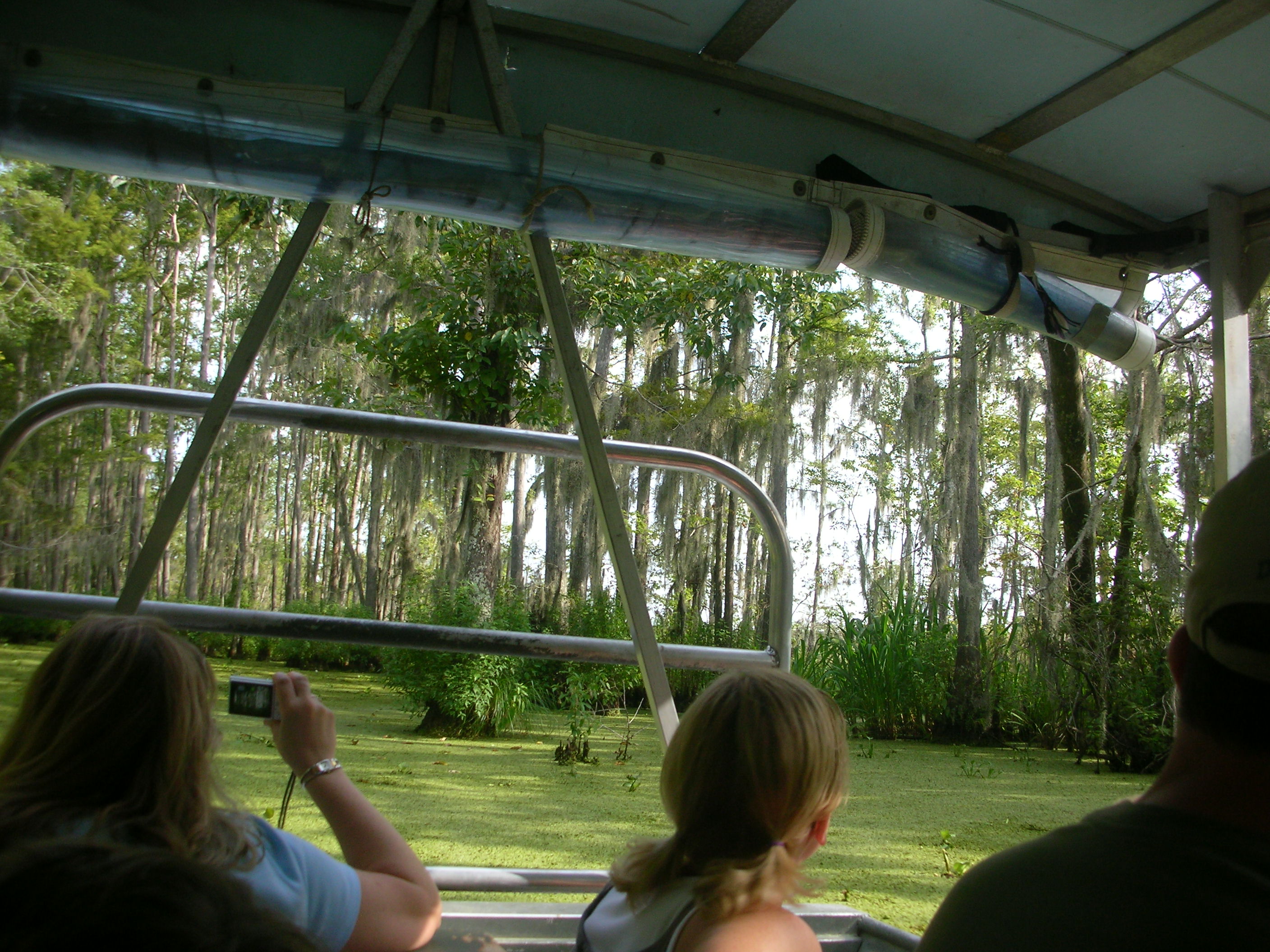 DSCN6375.JPG