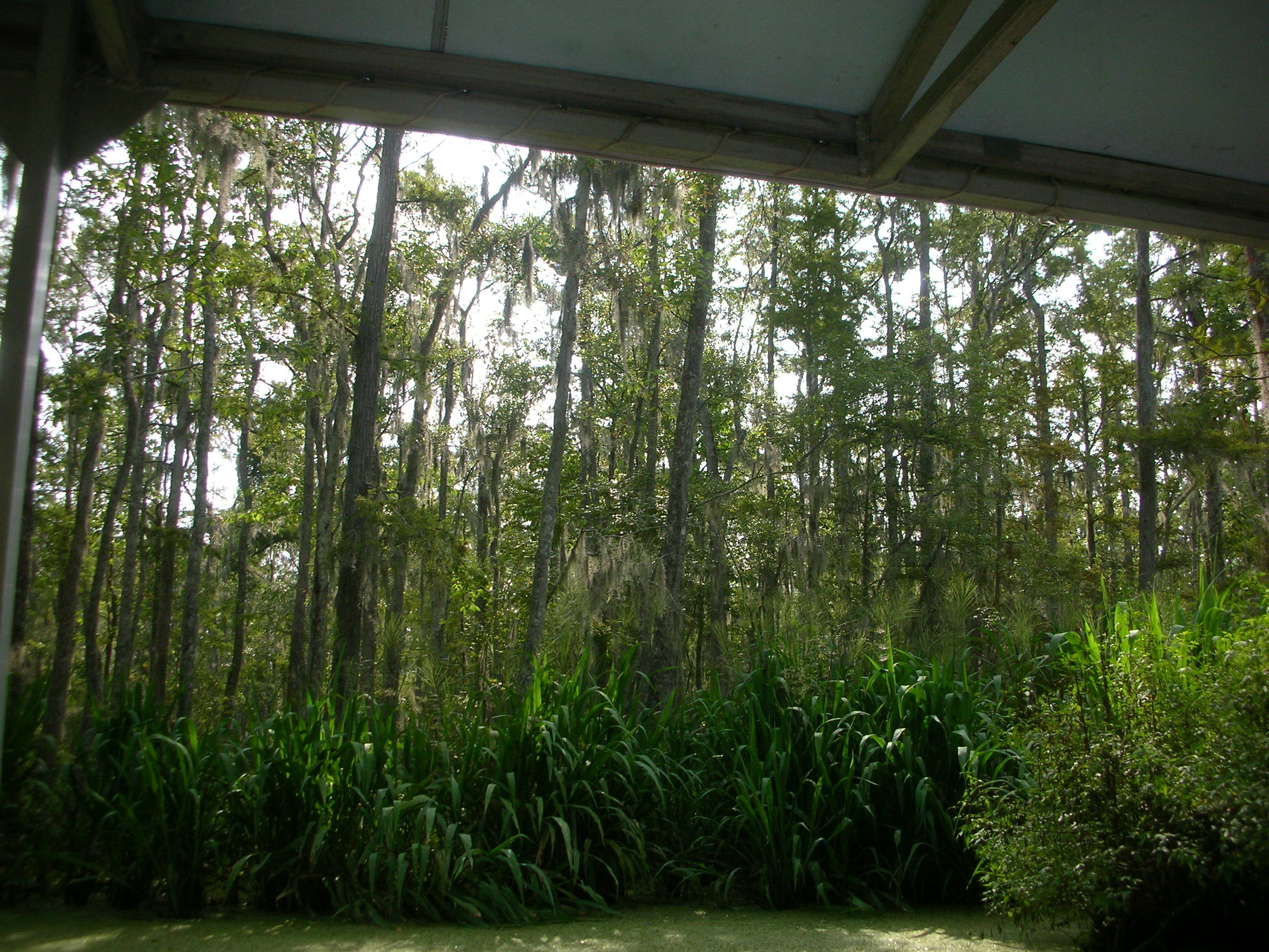 DSCN6376.JPG