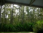 DSCN6376.JPG